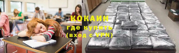 стафф Богородицк